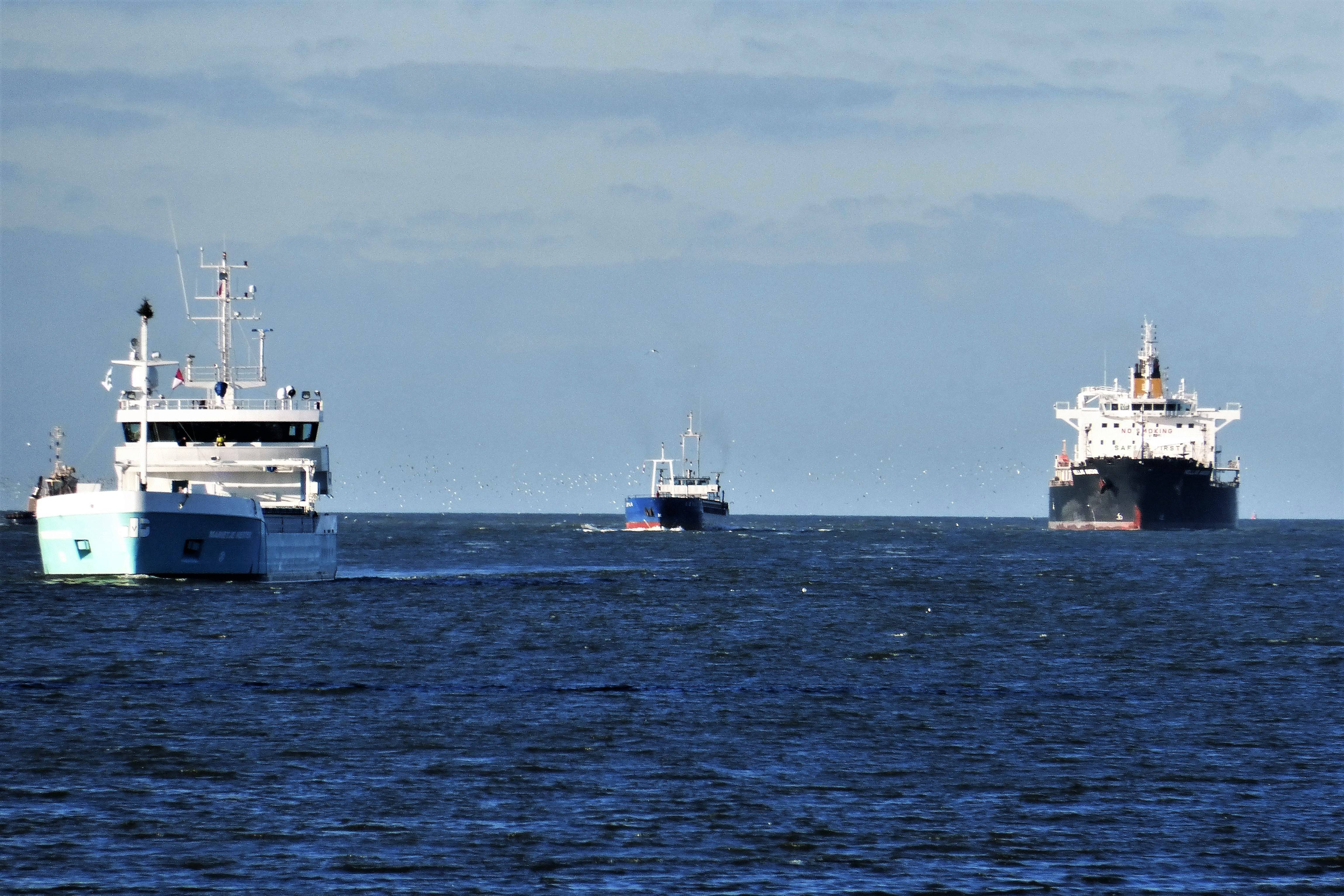 Pieren IJmuiden   25-12-18 